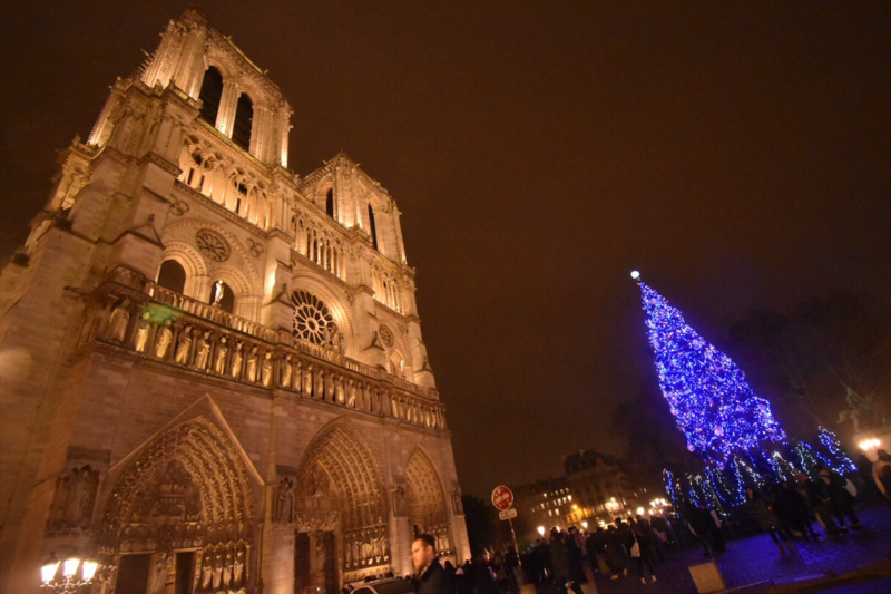 Notre Dame de Paris ノートルダム大聖堂のクリスマスツリー | L'écume