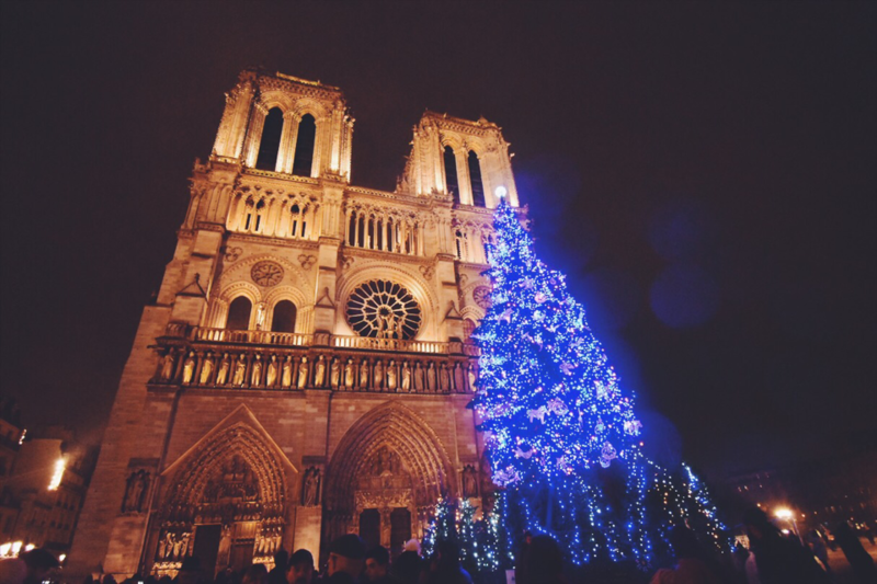 Notre Dame de Paris ノートルダム大聖堂のクリスマスツリー | L'écume
