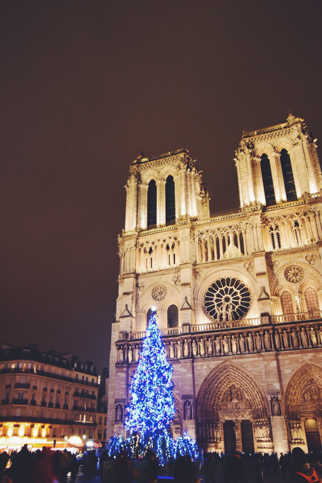 Notre Dame de Paris ノートルダム大聖堂のクリスマスツリー | L'écume