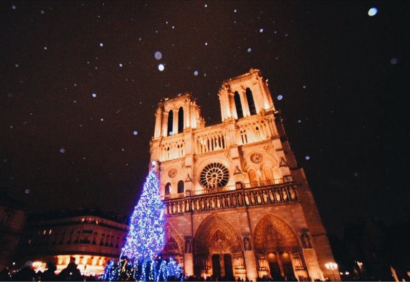 Notre Dame de Paris ノートルダム大聖堂のクリスマスツリー | L'écume